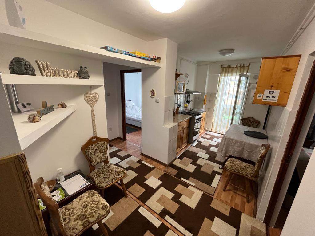 Bubu Apartament Petroşani Esterno foto