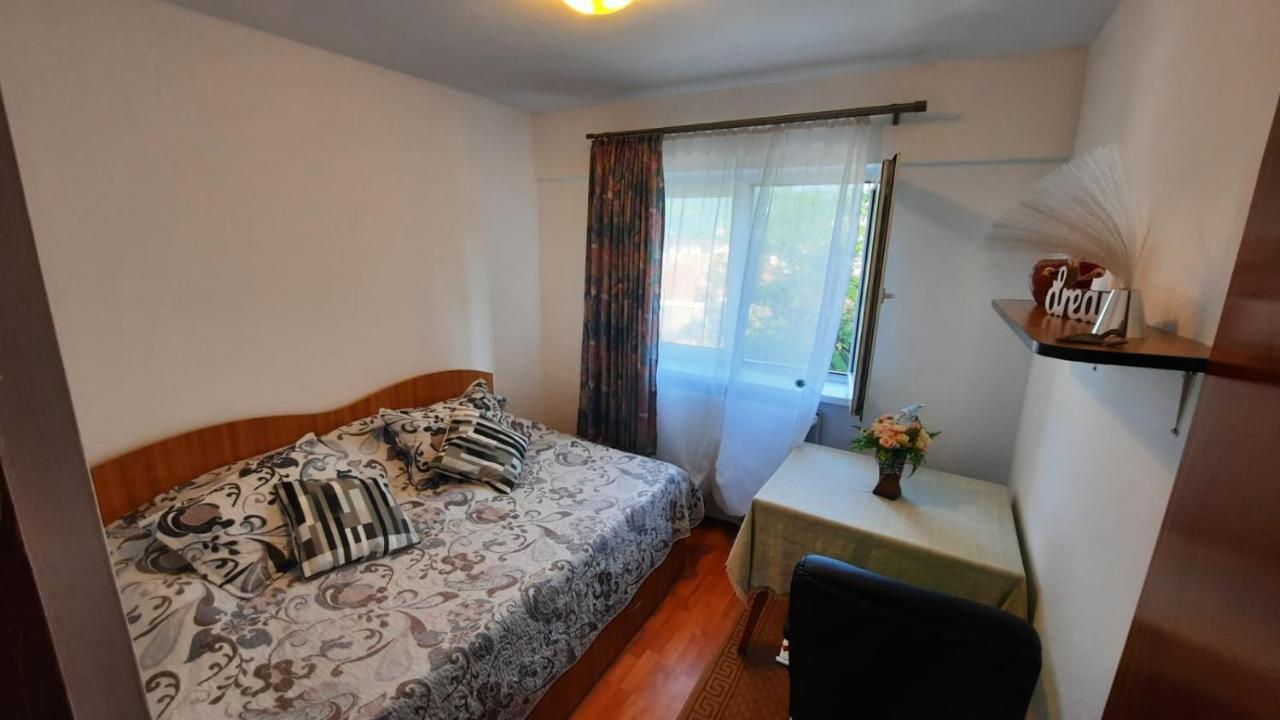 Bubu Apartament Petroşani Esterno foto